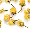 Top 5 reasons to drink chamomile tea during pregnancy