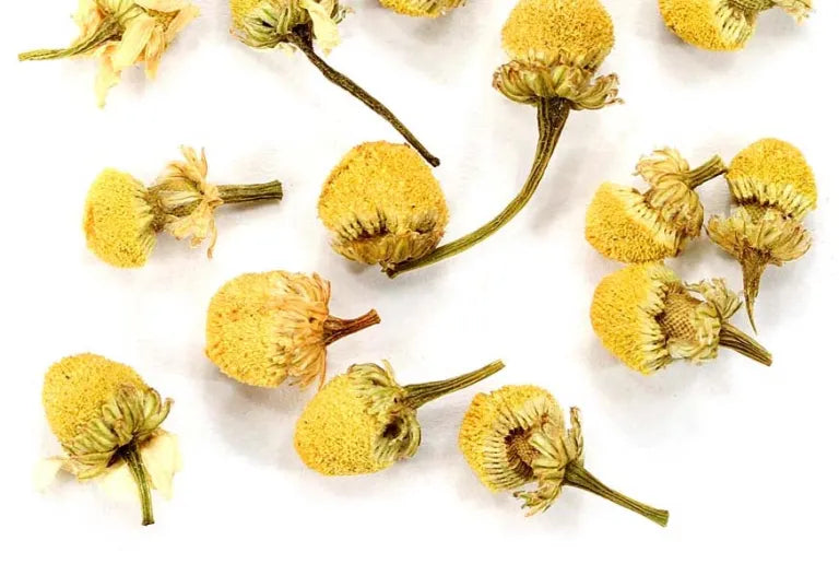 Top 5 reasons to drink chamomile tea during pregnancy MaterniTea